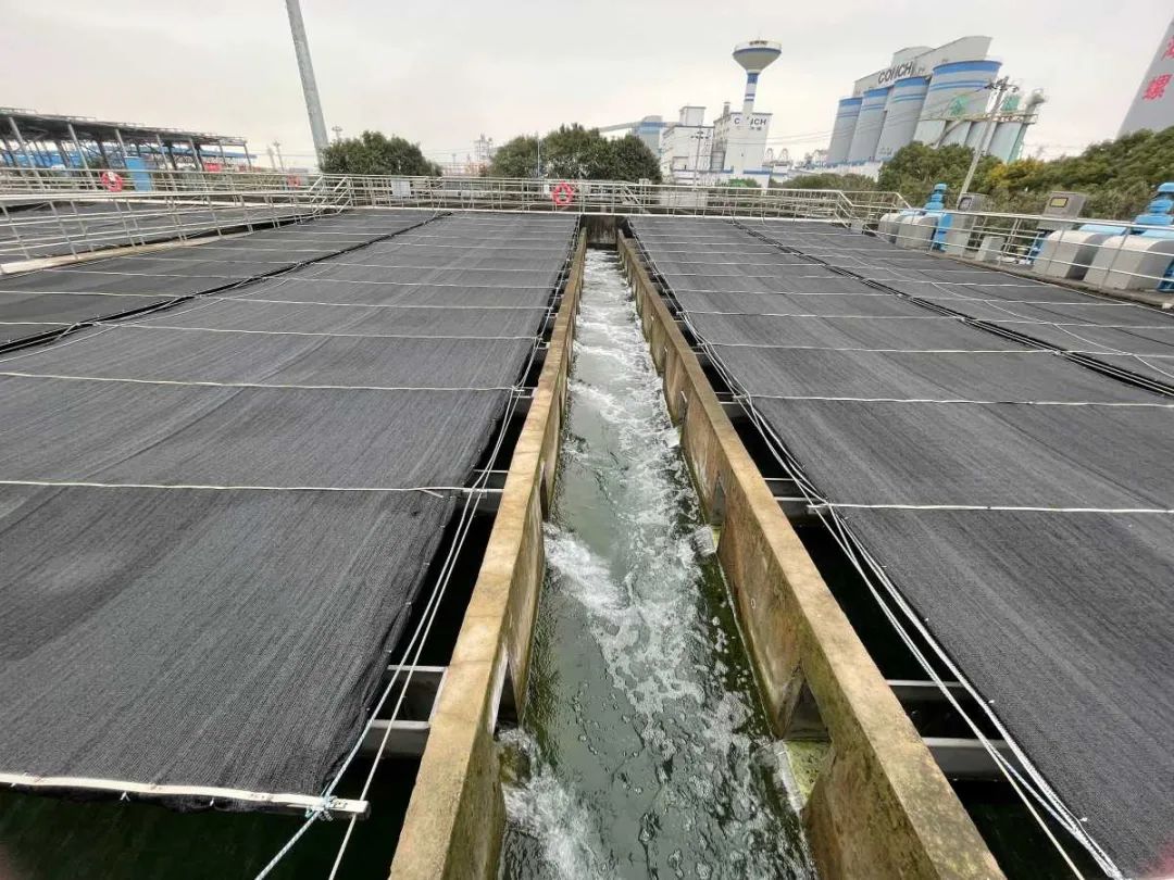 寧波實施五大工程，打造全國污水處理標桿